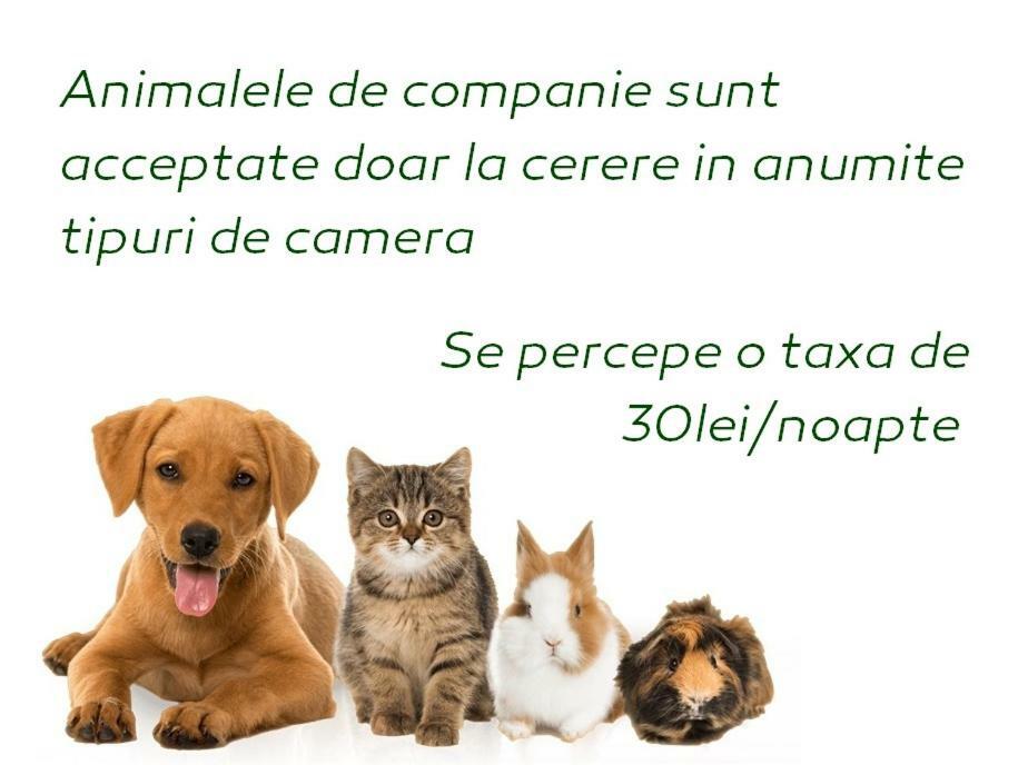 Vila Privilege Felix Băile Felix Exteriér fotografie